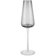 Champagneglas 2 stk. 20 cl
