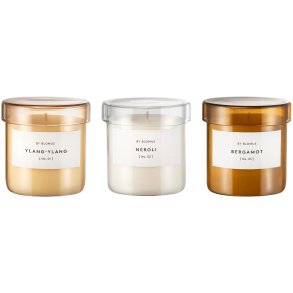 blomus VALOA Duftlys 3 stk. Ø7/H7 cm, Ylang Ylang/Neroli/Bergamot