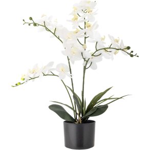 Bloomingville Orchid Kunstig Plante H84 cm, Grøn