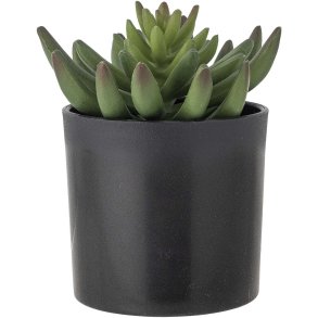 Bloomingville Echeveria Kunstig Plante H14 cm, Grøn