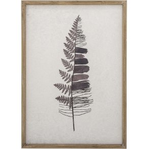 Creative Collection Corval Illustration m. Ramme 43x61 cm, Fyrretræ