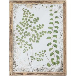 Creative Collection Tipper Illustration m. Ramme 34,5x46 cm, Fyrretræ