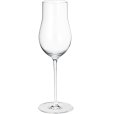 Champagneglas e 6 stk. 25 cl