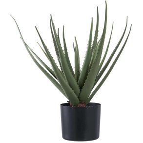 House Nordic Kunstig Aloe Vera Plante H51 cm, Grøn