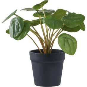House Nordic Kunstig Pelia Plante H28 cm, Grøn