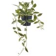 Kunstig Voksblomst H33 cm, Grøn