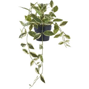 House Nordic Kunstig Voksblomst H33 cm, Grøn