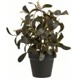Kunstig Plante H35 cm
