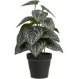 Kunstig Plante H33 cm