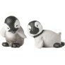 Futte & Gumbi