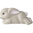Hare 13,5 cm, Ninus