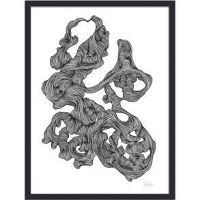 Nordal Rocaille Illustration m. Ramme 40x30 cm, Sort/Hvid