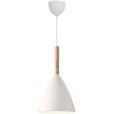 Pendel &Oslash;20 cm