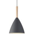 Pendel &Oslash;20 cm