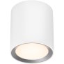 Landon Long Loftlampe Ø12,5 cm, Hvid