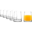 Experience Juiceglas 6 stk. 25,5 cl, Klar