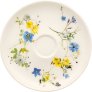 Fleurs des Alpes
