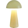 Pale Yellow