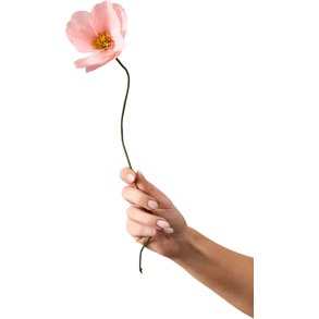 Studio About Papirblomst Windflower 43 cm, Rose