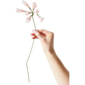 Studio About Papirblomst African Lily 43 cm, Rosa