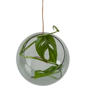Studio About Hanging Plant Bubble Vase Ø11 cm, Smoke