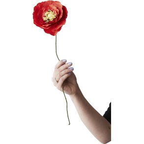 Studio About Papirblomst Ice Poppy 44 cm, Klar Rød
