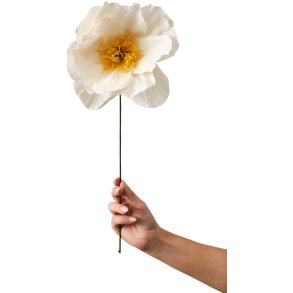 Studio About Papirblomst Rhapsody Rose 43 cm, Sand