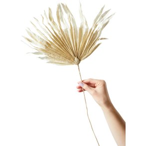Studio About Papirblomst Palm 55 cm, Sand