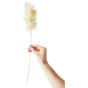 Studio About Papirblomst Pampas 44 cm, Sand