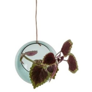 Studio About Hanging Plant Bubble Vase Ø8 cm, Cyan