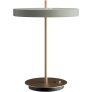 Nuance Olive/Messing