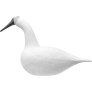 Svane