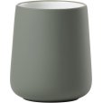 Tandbrstekrus, Olive green
