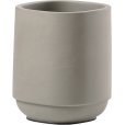 Tandbørstekrus, Concrete