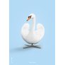 Svanen Plakat 50x70 cm, Lysebl�