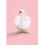 Svanen Plakat 30x40 cm, Rosa