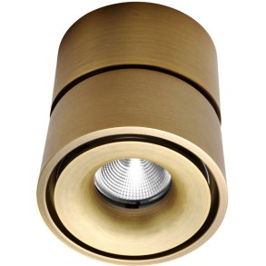 ANTIDARK Easy W100 Spot LED Ø10 cm, Brushed Messing