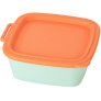 Sweet Green/Strong Coral